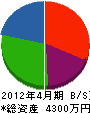 赤井商会 貸借対照表 2012年4月期