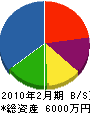 塚田商会 貸借対照表 2010年2月期