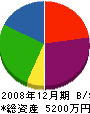 大山タタミ店 貸借対照表 2008年12月期