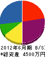 ニチユカ 貸借対照表 2012年6月期