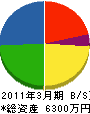 東京インテルナトーヨー住器 貸借対照表 2011年3月期