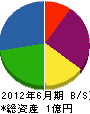 田村興業 貸借対照表 2012年6月期