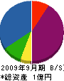 菅原電気商会 貸借対照表 2009年9月期