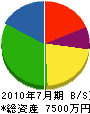 桜井工業 貸借対照表 2010年7月期