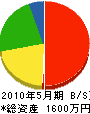 カワシマ 貸借対照表 2010年5月期