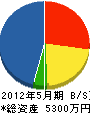 鈴平ニューホーム 貸借対照表 2012年5月期