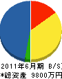 藤村電気工業 貸借対照表 2011年6月期
