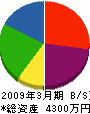 加藤電機 貸借対照表 2009年3月期