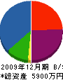 田中建材店 貸借対照表 2009年12月期