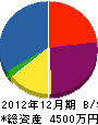 金坂工務所 貸借対照表 2012年12月期