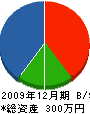 豊永工務店 貸借対照表 2009年12月期