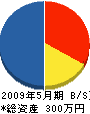 内田電業社 貸借対照表 2009年5月期