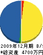徳永建設 貸借対照表 2009年12月期