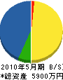 佐藤電気工業 貸借対照表 2010年5月期