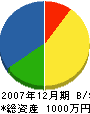 中電気商会 貸借対照表 2007年12月期