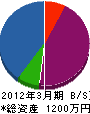 中島造園 貸借対照表 2012年3月期