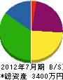 ヤマカワ商会 貸借対照表 2012年7月期
