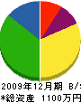 西田電気店 貸借対照表 2009年12月期