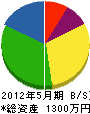 緒川設備 貸借対照表 2012年5月期