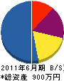 引田グリーンセンター 貸借対照表 2011年6月期
