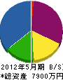 手塚土建 貸借対照表 2012年5月期