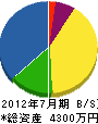 小川工業 貸借対照表 2012年7月期