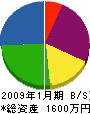 樋口電業 貸借対照表 2009年1月期