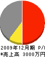 笹山興業 損益計算書 2009年12月期