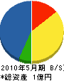 山崎電気商会 貸借対照表 2010年5月期