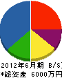 韮澤建設 貸借対照表 2012年6月期