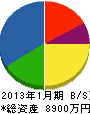松田 貸借対照表 2013年1月期