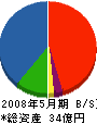 渡辺建設 貸借対照表 2008年5月期