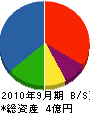 掛川土建 貸借対照表 2010年9月期