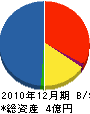 新潟建工 貸借対照表 2010年12月期