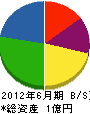 佐野設備 貸借対照表 2012年6月期