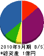 川＊建設 貸借対照表 2010年9月期
