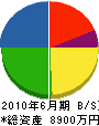 東日本浄化槽管理センター 貸借対照表 2010年6月期