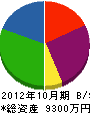 芳賀組 貸借対照表 2012年10月期