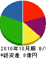 天龍建設 貸借対照表 2010年10月期