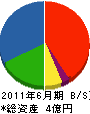 栃毛木材工業 貸借対照表 2011年6月期