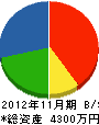 三髙電工 貸借対照表 2012年11月期