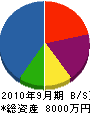 坂本工業 貸借対照表 2010年9月期