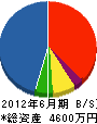 藤野電工 貸借対照表 2012年6月期