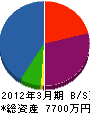 小山電気工業 貸借対照表 2012年3月期