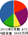 渡辺建設工業 貸借対照表 2012年6月期