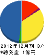 小川組 貸借対照表 2012年12月期