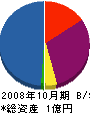 エコ建物 貸借対照表 2008年10月期