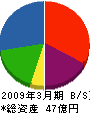 田窪工業所 貸借対照表 2009年3月期