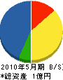 田中建設 貸借対照表 2010年5月期