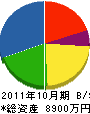 村松工務所 貸借対照表 2011年10月期